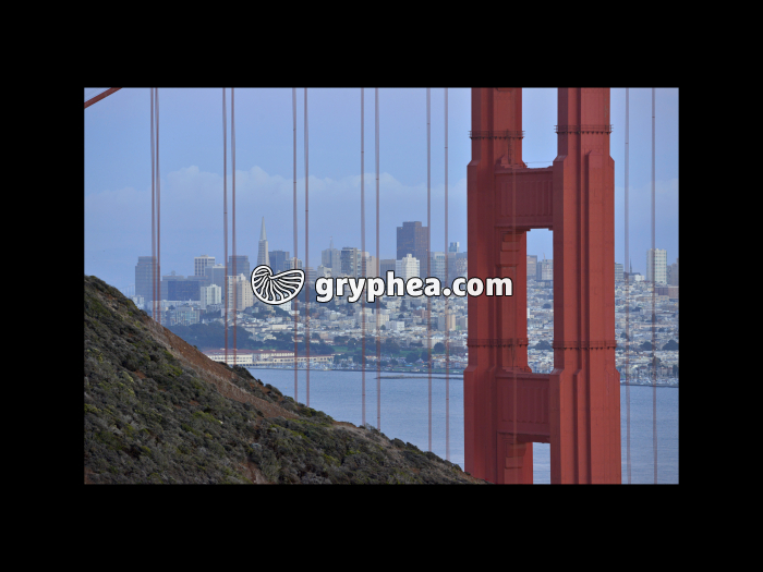 Golden Gate Bridge San Francisco (USA) - gryphea.com